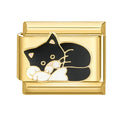 Cat Charm